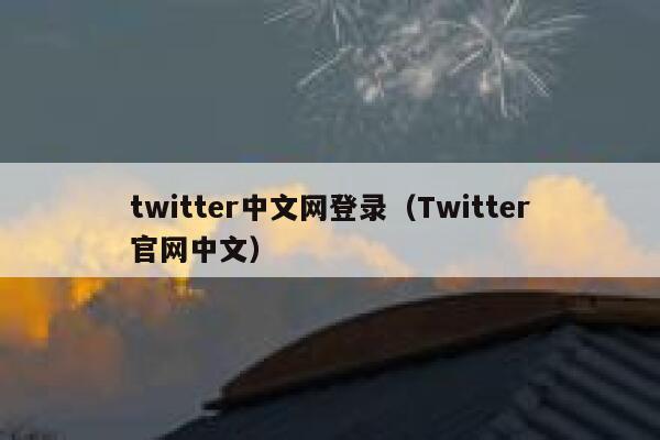 twitter中文网登录（Twitter官网中文） 第1张