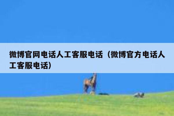 微博官网电话人工客服电话（微博官方电话人工客服电话） 第1张