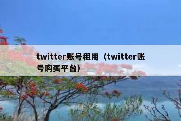 twitter账号租用（twitter账号购买平台） 第1张
