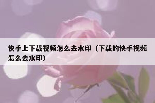 快手上下载视频怎么去水印（下载的快手视频怎么去水印） 第1张