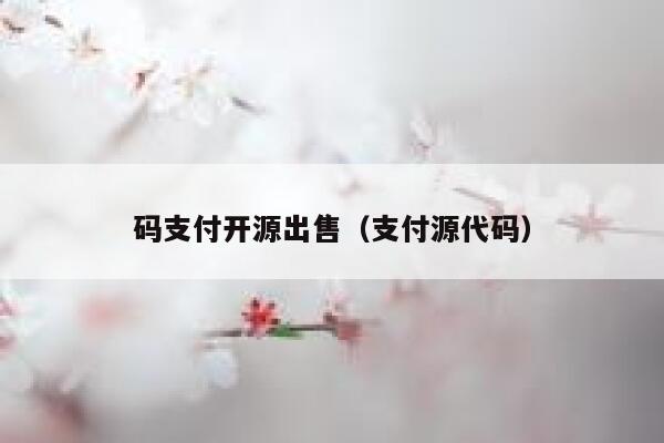 码支付开源出售（支付源代码） 第1张