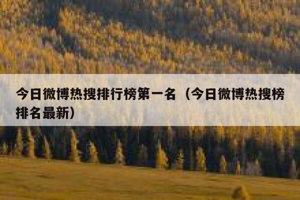今日微博热搜排行榜第一名（今日微博热搜榜排名最新） 第1张