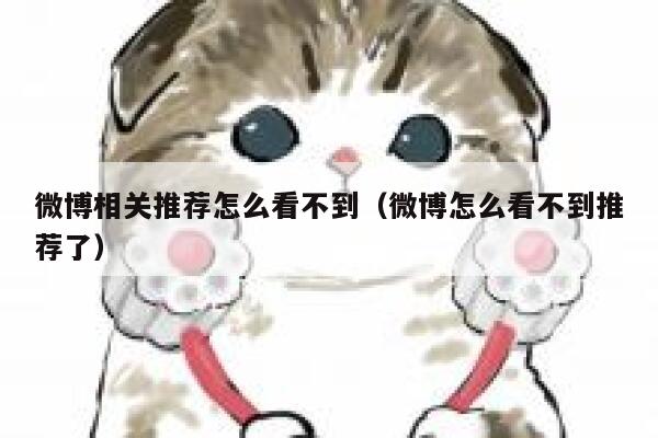 微博相关推荐怎么看不到（微博怎么看不到推荐了） 第1张
