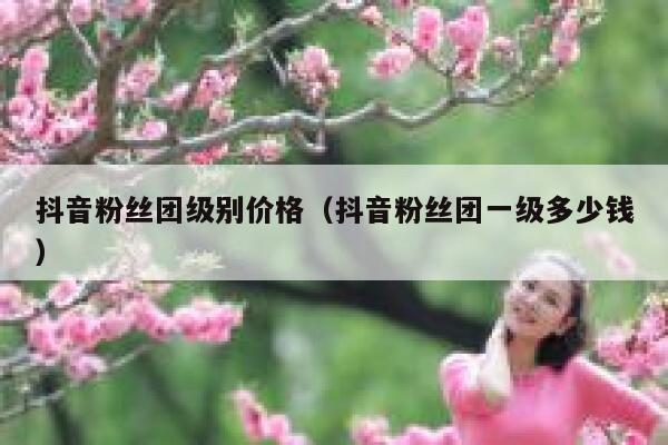 抖音粉丝团级别价格（抖音粉丝团一级多少钱） 第1张