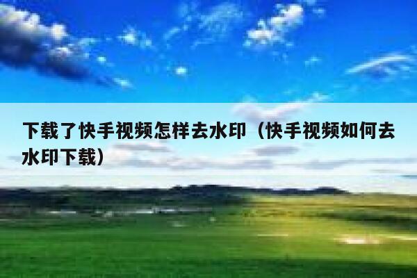 下载了快手视频怎样去水印（快手视频如何去水印下载） 第1张