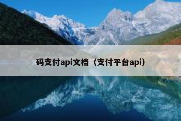 码支付api文档（支付平台api） 第1张