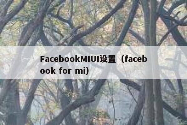 FacebookMIUI设置（facebook for mi） 第1张