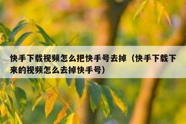 快手下载视频怎么把快手号去掉（快手下载下来的视频怎么去掉快手号） 第1张