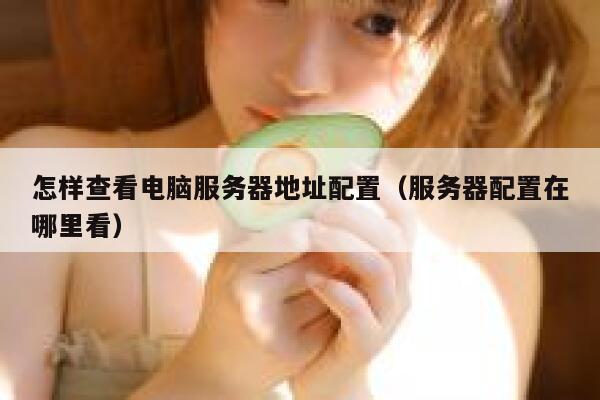 怎样查看电脑服务器地址配置（服务器配置在哪里看） 第1张