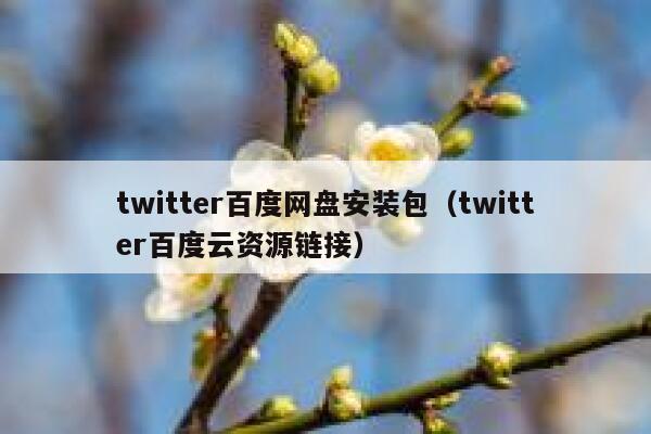 twitter百度网盘安装包（twitter百度云资源链接） 第1张
