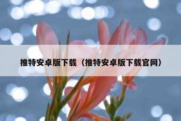 推特安卓版下载（推特安卓版下载官网） 第1张