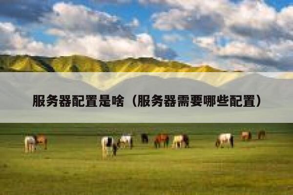 服务器配置是啥（服务器需要哪些配置） 第1张
