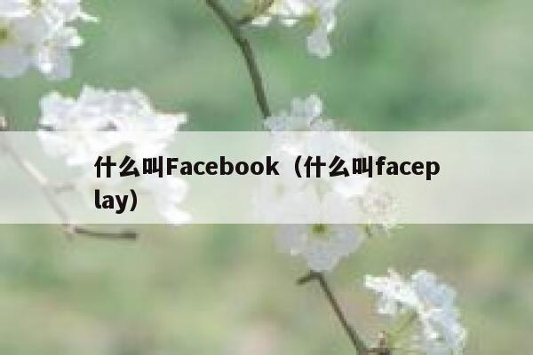 什么叫Facebook（什么叫faceplay） 第1张