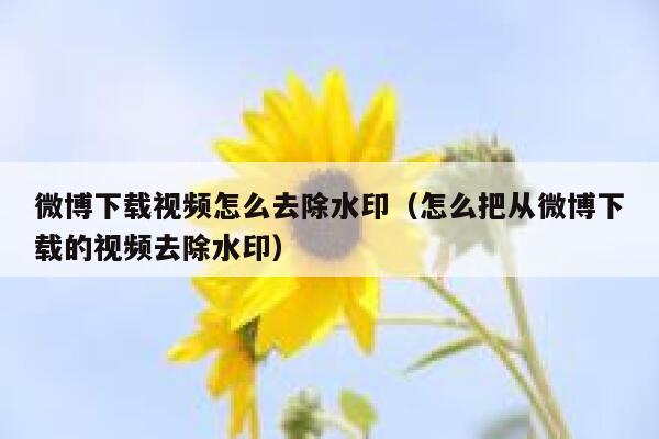 微博下载视频怎么去除水印（怎么把从微博下载的视频去除水印） 第1张