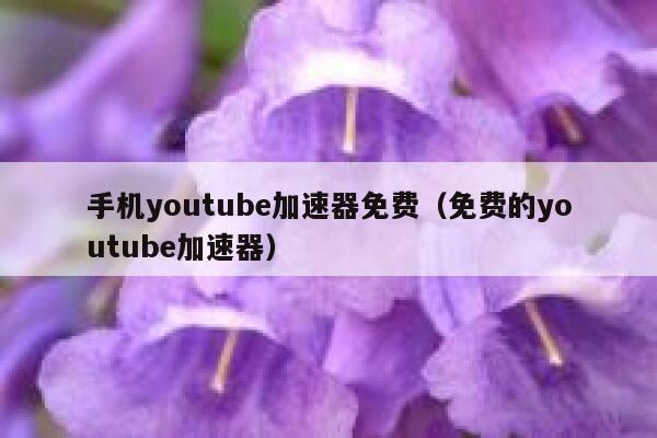 手机youtube加速器免费（免费的youtube加速器） 第1张
