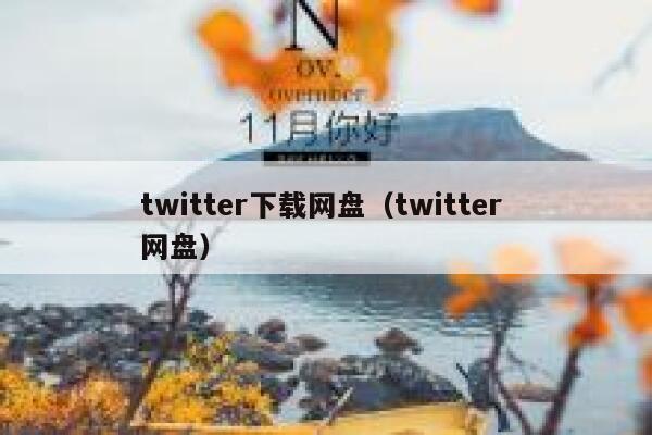 twitter下载网盘（twitter 网盘） 第1张