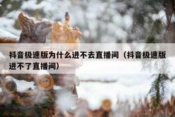 抖音极速版为什么进不去直播间（抖音极速版进不了直播间） 第1张