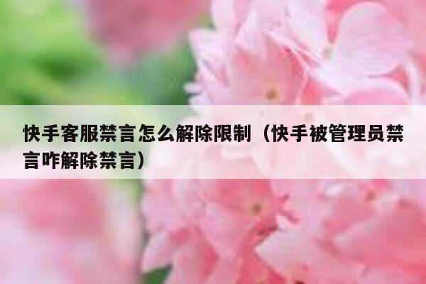 快手客服禁言怎么解除限制（快手被管理员禁言咋解除禁言） 第1张