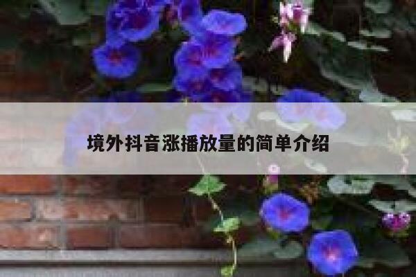 境外抖音涨播放量的简单介绍 第1张