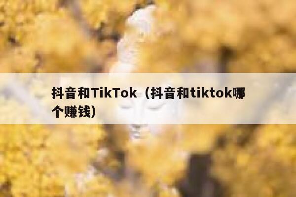 抖音和TikTok（抖音和tiktok哪个赚钱） 第1张