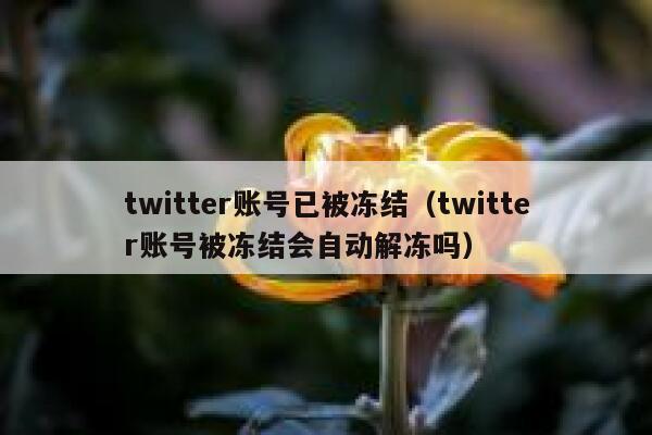 twitter账号已被冻结（twitter账号被冻结会自动解冻吗） 第1张