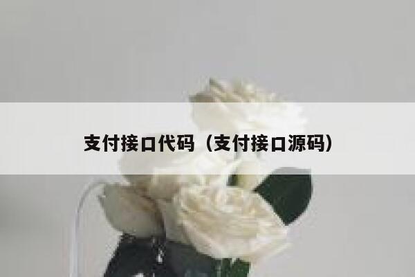 支付接口代码（支付接口源码） 第1张
