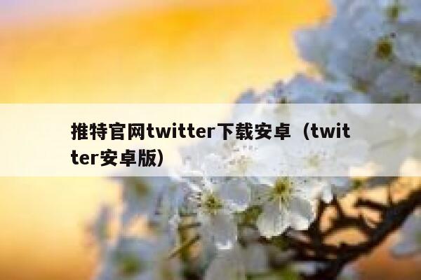 推特官网twitter下载安卓（twitter安卓版） 第1张