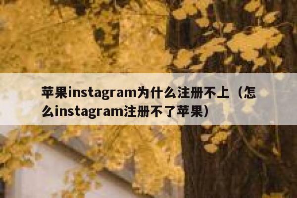 苹果instagram为什么注册不上（怎么instagram注册不了苹果） 第1张