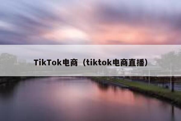 TikTok电商（tiktok电商直播） 第1张