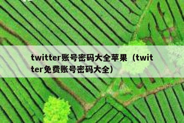 twitter账号密码大全苹果（twitter免费账号密码大全） 第1张