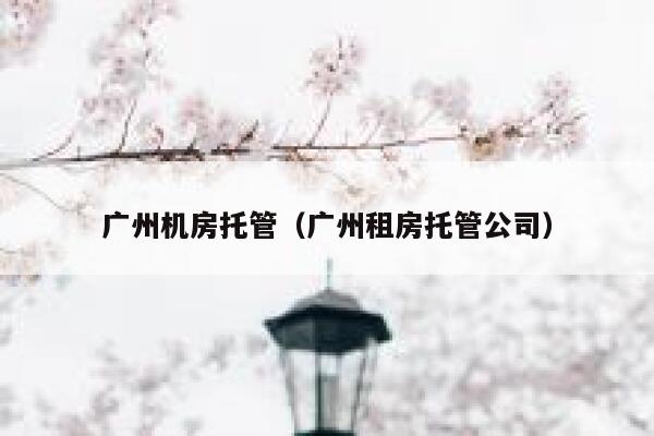 广州机房托管（广州租房托管公司） 第1张