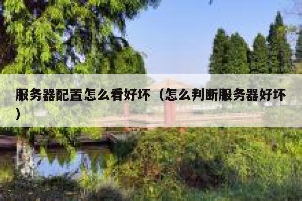 服务器配置怎么看好坏（怎么判断服务器好坏） 第1张