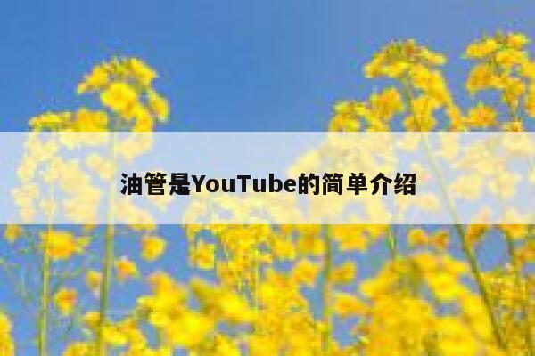 油管是YouTube的简单介绍 第1张