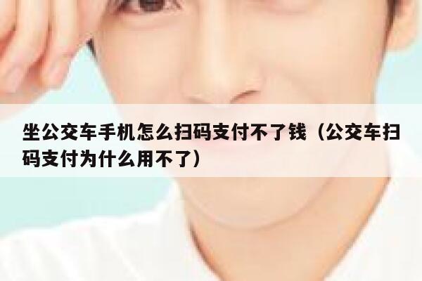 坐公交车手机怎么扫码支付不了钱（公交车扫码支付为什么用不了） 第1张