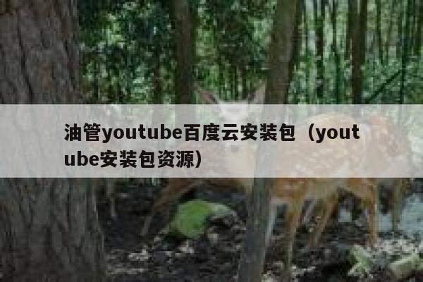 油管youtube百度云安装包(youtube安装包资源) 第1张 油管youtube百度云安装包(youtube安装包资源) 第1张
