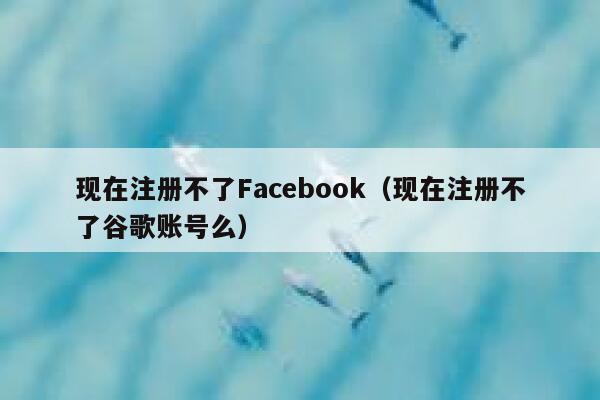 现在注册不了Facebook(现在注册不了谷歌账号么) 第1张 现在注册不了Facebook(现在注册不了谷歌账号么) 第1张