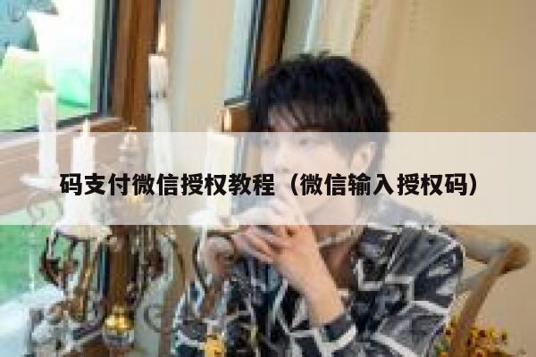 码支付微信授权教程(微信输入授权码) 第1张 码支付微信授权教程(微信输入授权码) 第1张