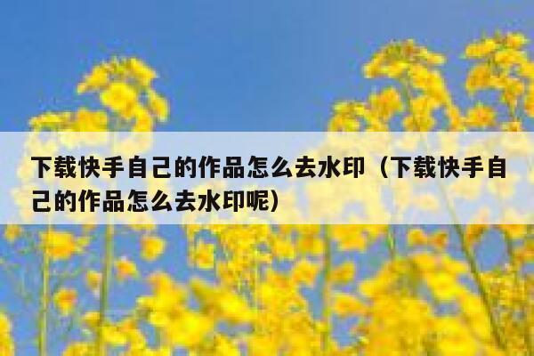 下载快手自己的作品怎么去水印（下载快手自己的作品怎么去水印呢） 第1张