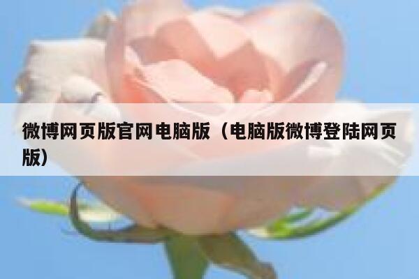 微博网页版官网电脑版（电脑版微博登陆网页版） 第1张