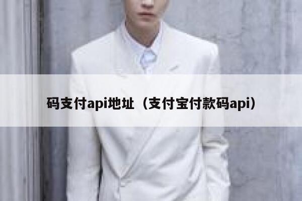 码支付api地址（支付宝付款码api） 第1张