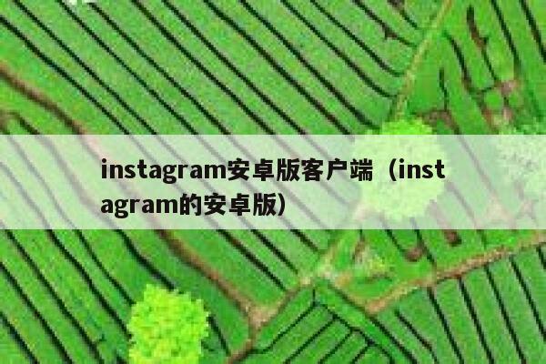 instagram安卓版客户端（instagram的安卓版） 第1张