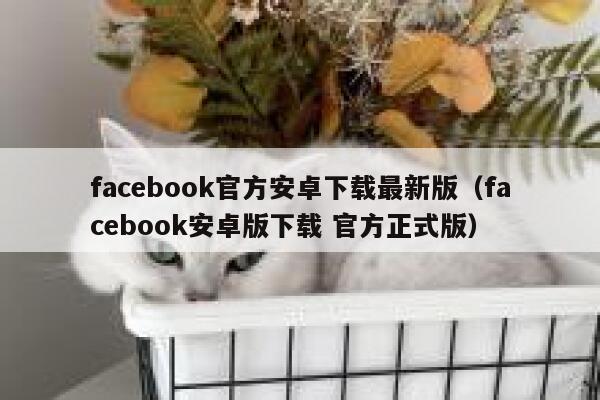 facebook官方安卓下载最新版（facebook安卓版下载 官方正式版） 第1张