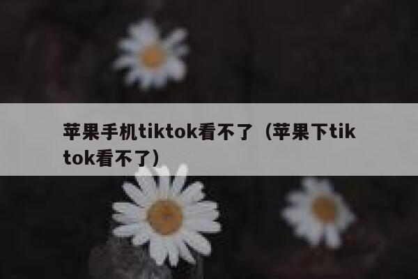 苹果手机tiktok看不了(苹果下tiktok看不了) 第1张 苹果手机tiktok看不了(苹果下tiktok看不了) 第1张