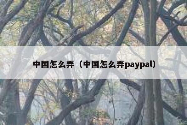 中国怎么弄（中国怎么弄paypal） 第1张