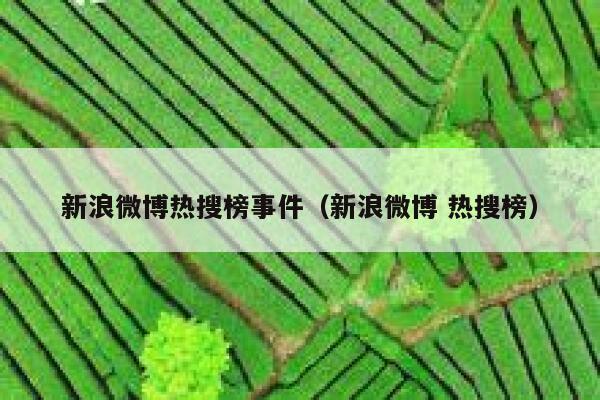 新浪微博热搜榜事件（新浪微博 热搜榜） 第1张