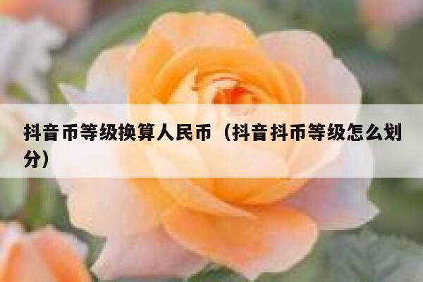 抖音币等级换算人民币（抖音抖币等级怎么划分） 第1张