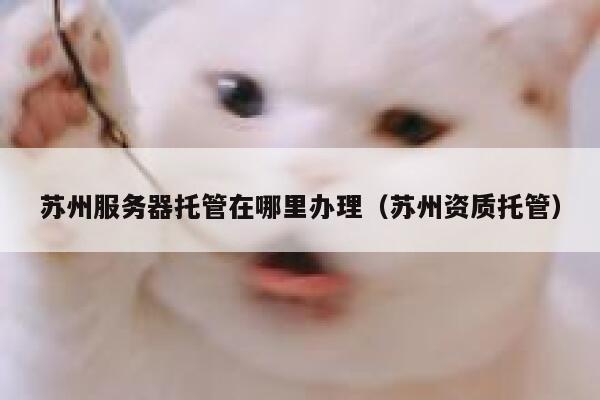 苏州服务器托管在哪里办理（苏州资质托管） 第1张