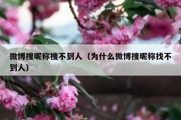 微博搜昵称搜不到人（为什么微博搜昵称找不到人） 第1张