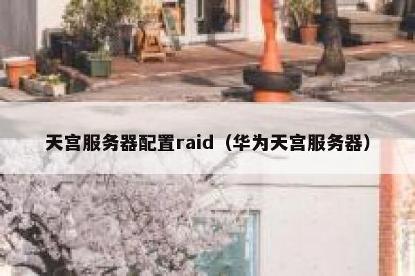 天宫服务器配置raid（华为天宫服务器） 第1张