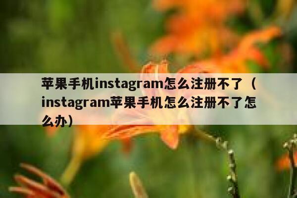 苹果手机instagram怎么注册不了（instagram苹果手机怎么注册不了怎么办） 第1张